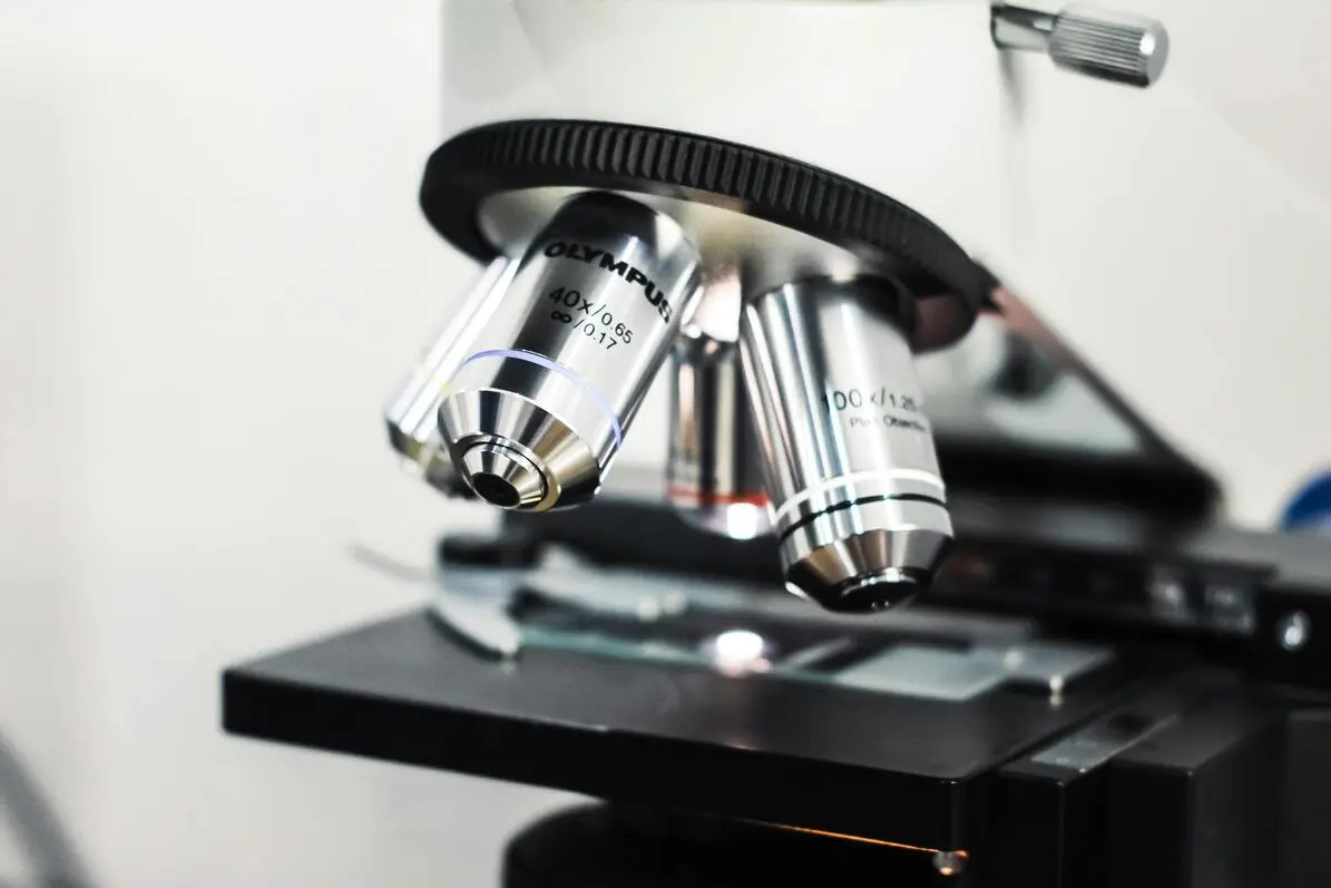 Life Sciences